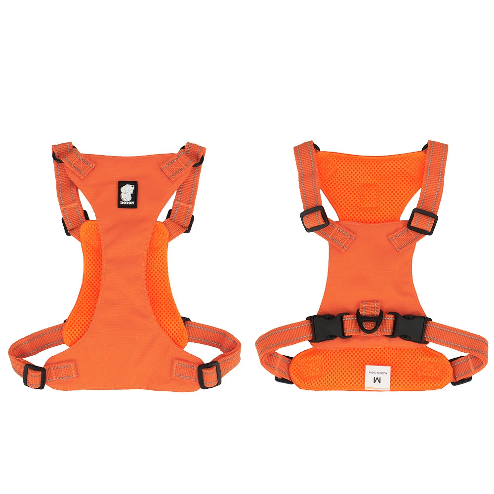 רתמה לכלב גדול