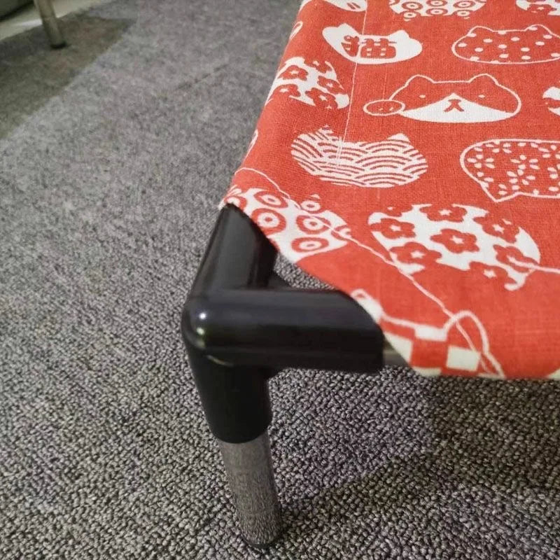 המיטה המוגבהת המושלמת לכלב שלך! 🐾🛏️