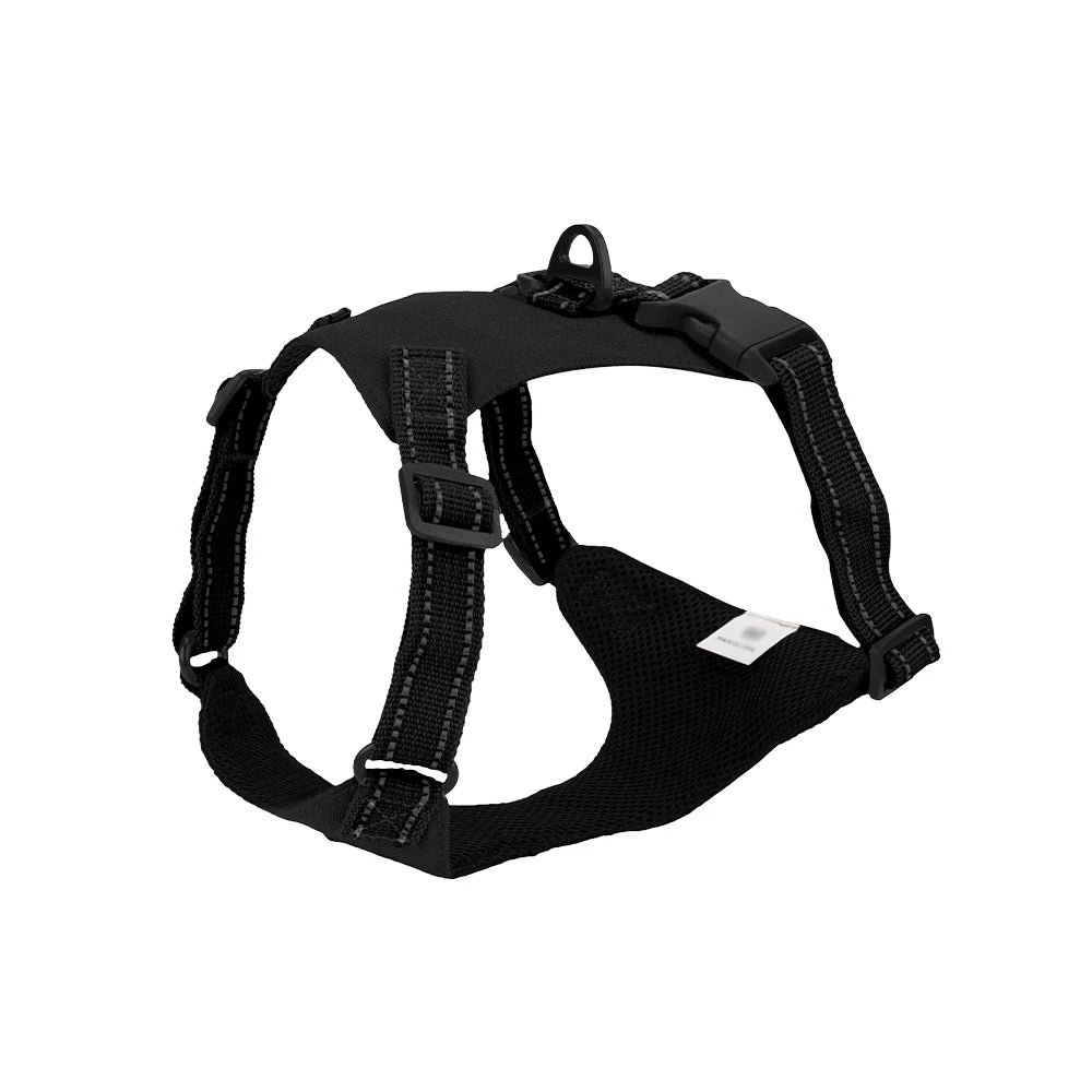 47956812529947|47956812595483|47956812628251|47956812759323